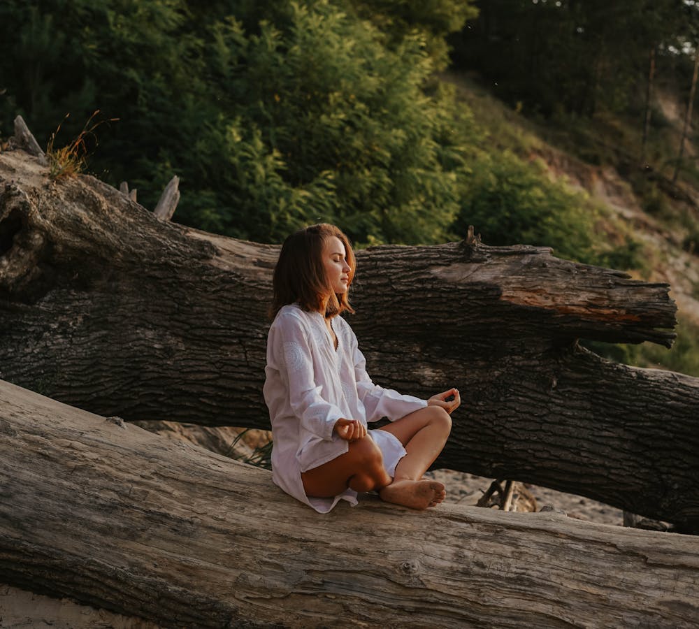 pexels-photo-8964937-1